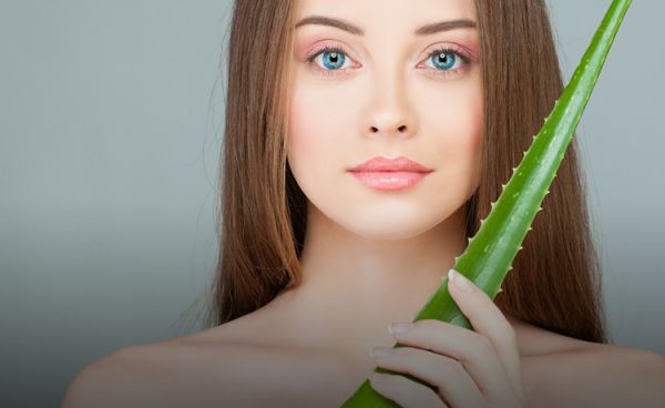 Aloe Pur Produktbild